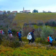 P1180109   Lassù la partenza.  Oltre la Fontana Vecia.